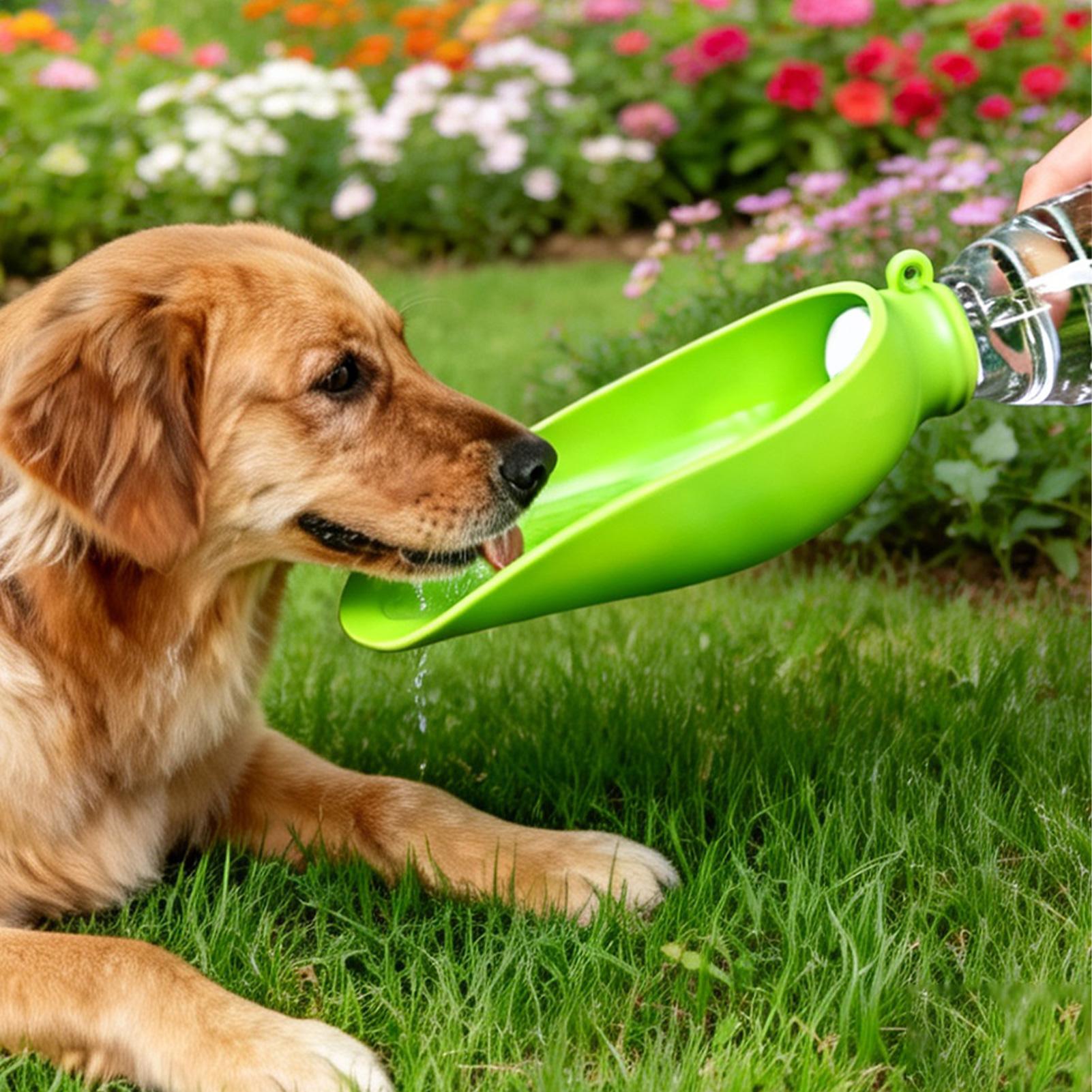 Köpek Seyahat Su Kabı Silikon  - Travel Accessories Dog incelemesi ve fiyatı