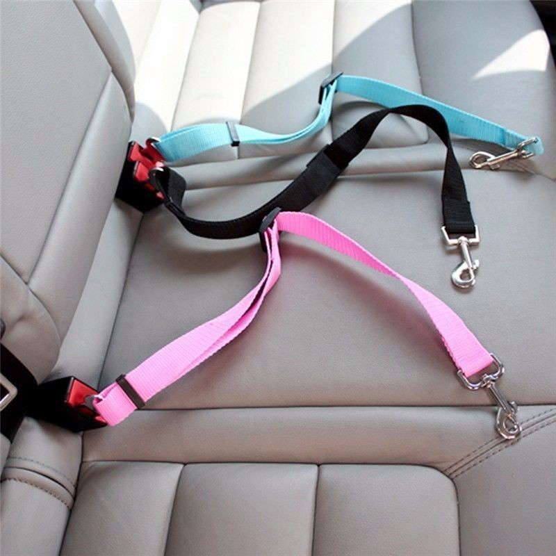 Kedi Araba Emniyet Kemeri Köpe - Travel Accessories Dog incelemesi ve fiyatı